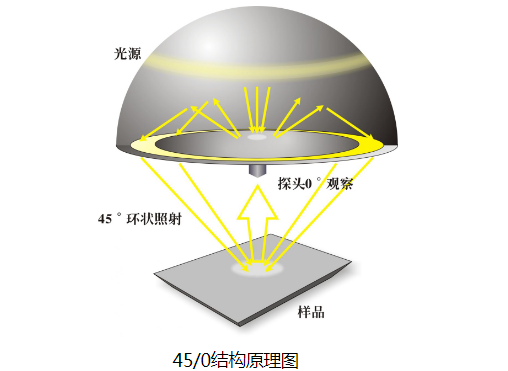 图片11.png