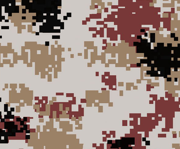 Digital Camouflage #1.jpg
