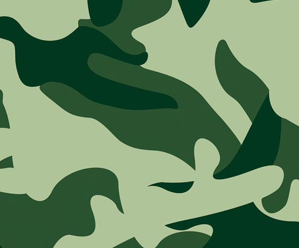 Camouflage Combo.jpg