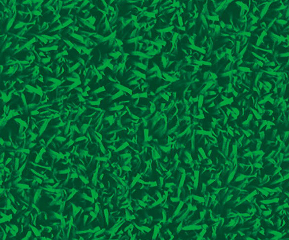 Scallion Leaf.jpg